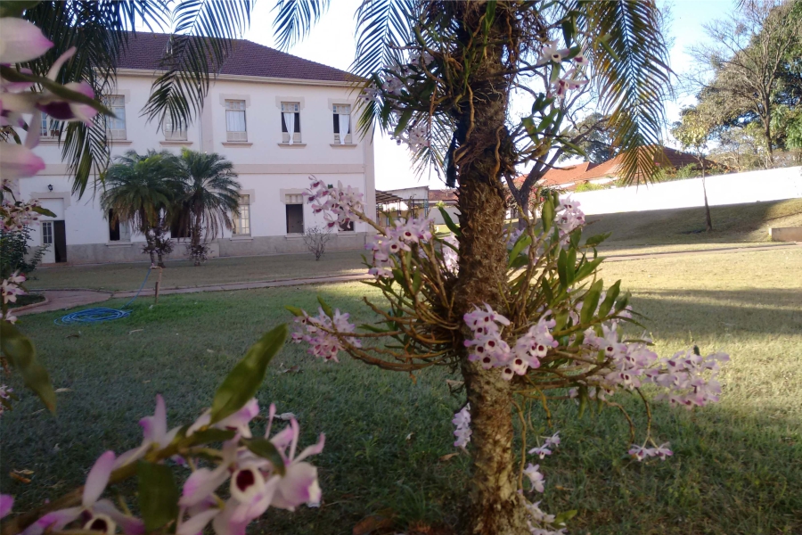 Jardins do CSA: a natureza nos conecta!