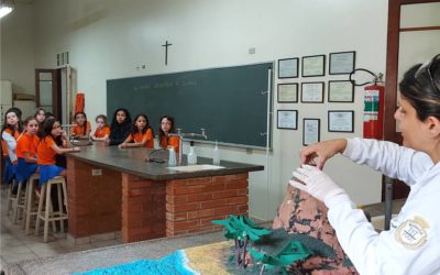 Visita monitorada