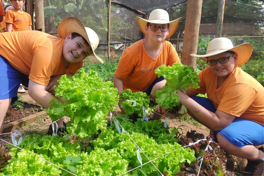 Projeto Horta Escolar