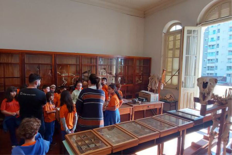 Visita ao Museu
