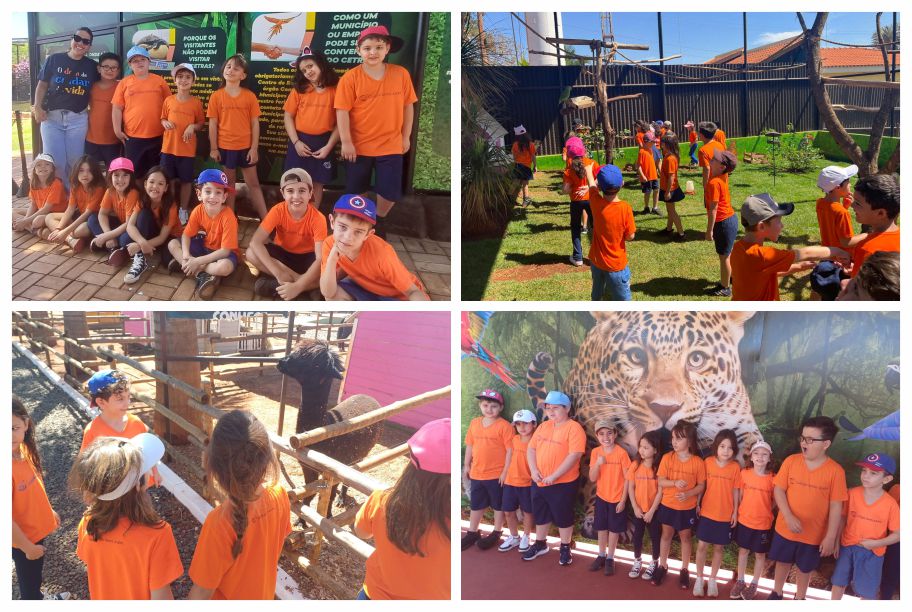 Viagens Pedagógicas