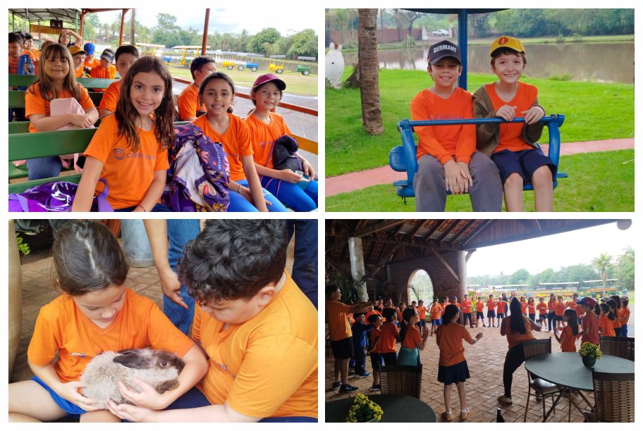 Viagens Pedagógicas