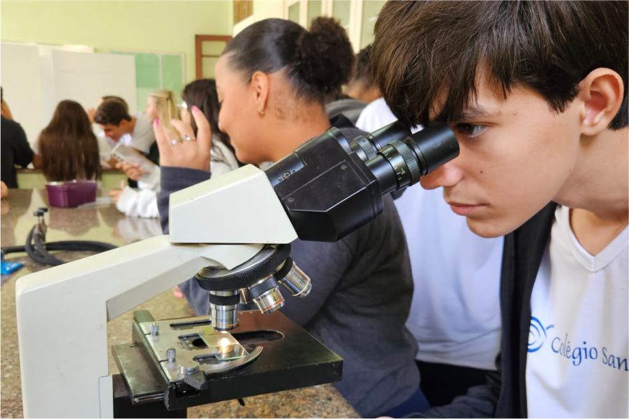 Explorando o Micromundo