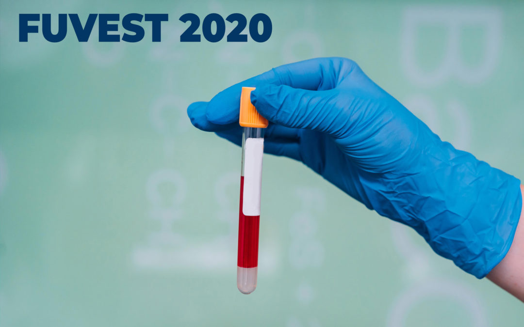 Redação Fuvest 2020